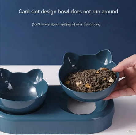 3-in-1 Cat Feeding Station — Anti-Spill Bowl Set with Water Dispenser