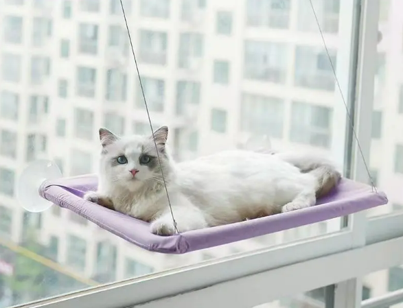 Window Cat Hammock — Sunny Spot Perch for Cats